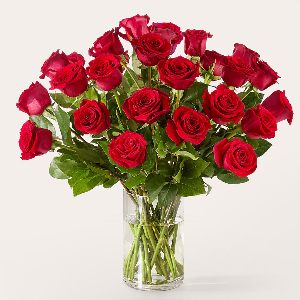 The One Red Rose Bouquet –  Roots Of Love, Spotswood NJ