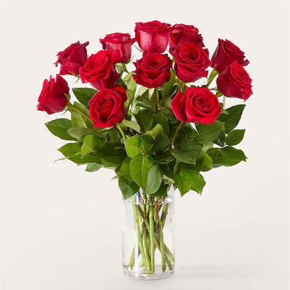 The One Red Rose Bouquet –  Roots Of Love, Spotswood NJ
