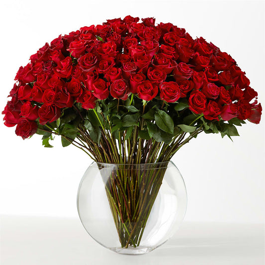 The Idealist –  Roots Of Love, Spotswood NJ