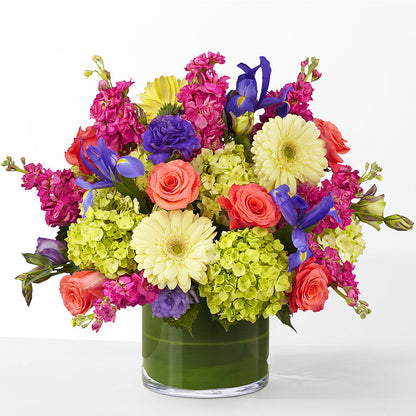 The Couture –  Roots Of Love, Spotswood NJ