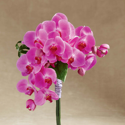 Glorious Bouquet –  Roots Of Love, Spotswood NJ