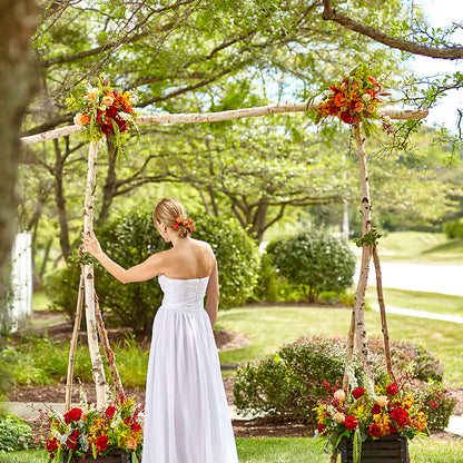 Arbor of Love Archway –  Roots Of Love, Spotswood NJ
