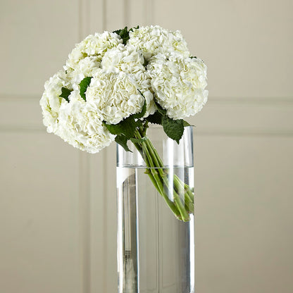 White Hydrangea Hand-Tied Bouquet –  Roots Of Love, Spotswood NJ