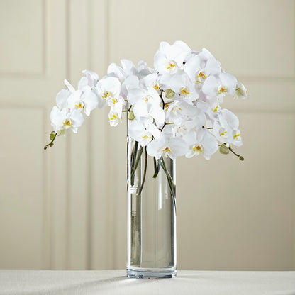 White Phalaenopsis Bouquet –  Roots Of Love, Spotswood NJ
