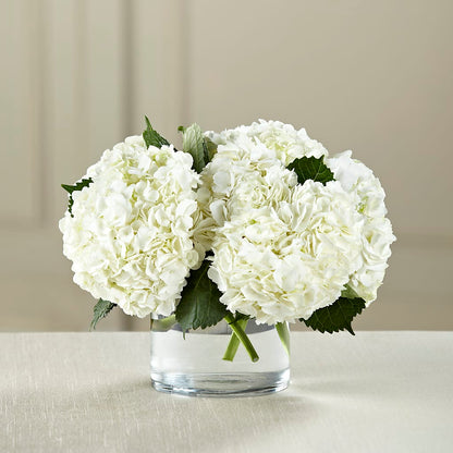 White Hydrangea Bouquet –  Roots Of Love, Spotswood NJ